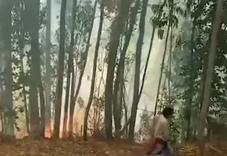[VIDEO] Ayacucho: Cultivos son afectados por incendios forestales