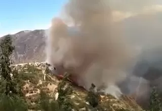[VIDEO] Ayacucho: más de 20 familias afectadas con incendio forestal