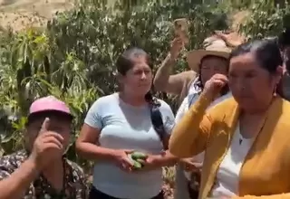 [VIDEO] Ayacucho: Productores piden ayuda tras pérdida de cultivo por falta de agua