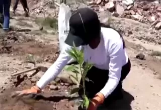 [VIDEO] Huancayo: Universitarios reforestan botadero en Huancán