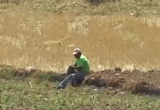 [VIDEO] Junín: Agricultores preocupados por ausencia de lluvias